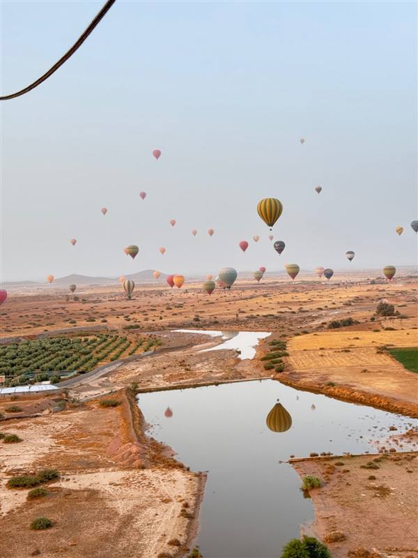 Palmeto visto dalla mongolfiera vicino a Marrakech